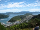 1 - Picton from above
